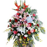 ۰ʻٵ